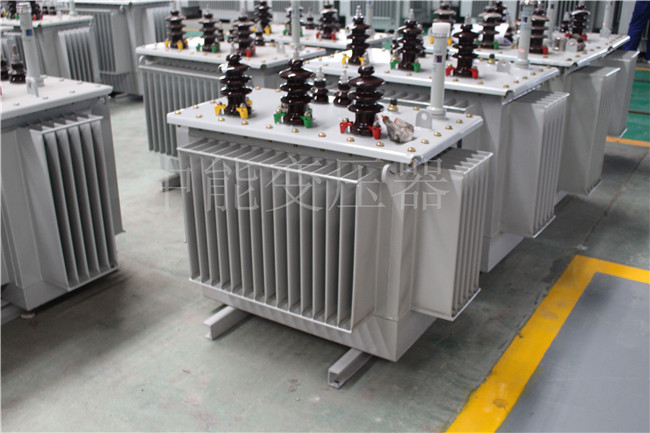 通化S22-100KVA/10KV/0.4KV变压器